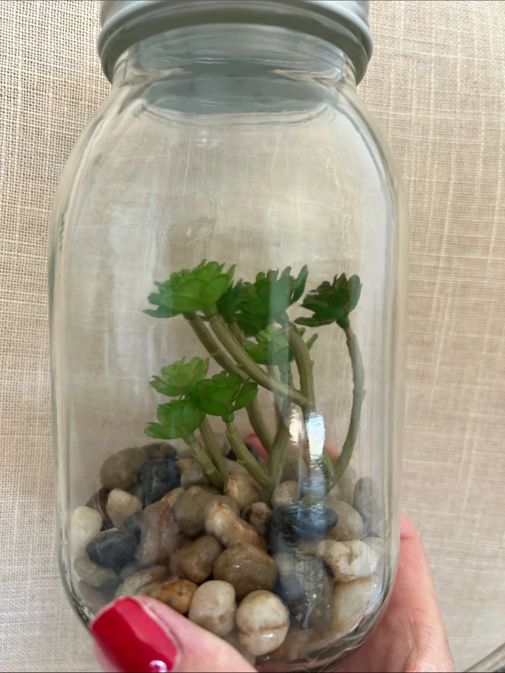 (3) Faux Succulent Glass Mason Jar